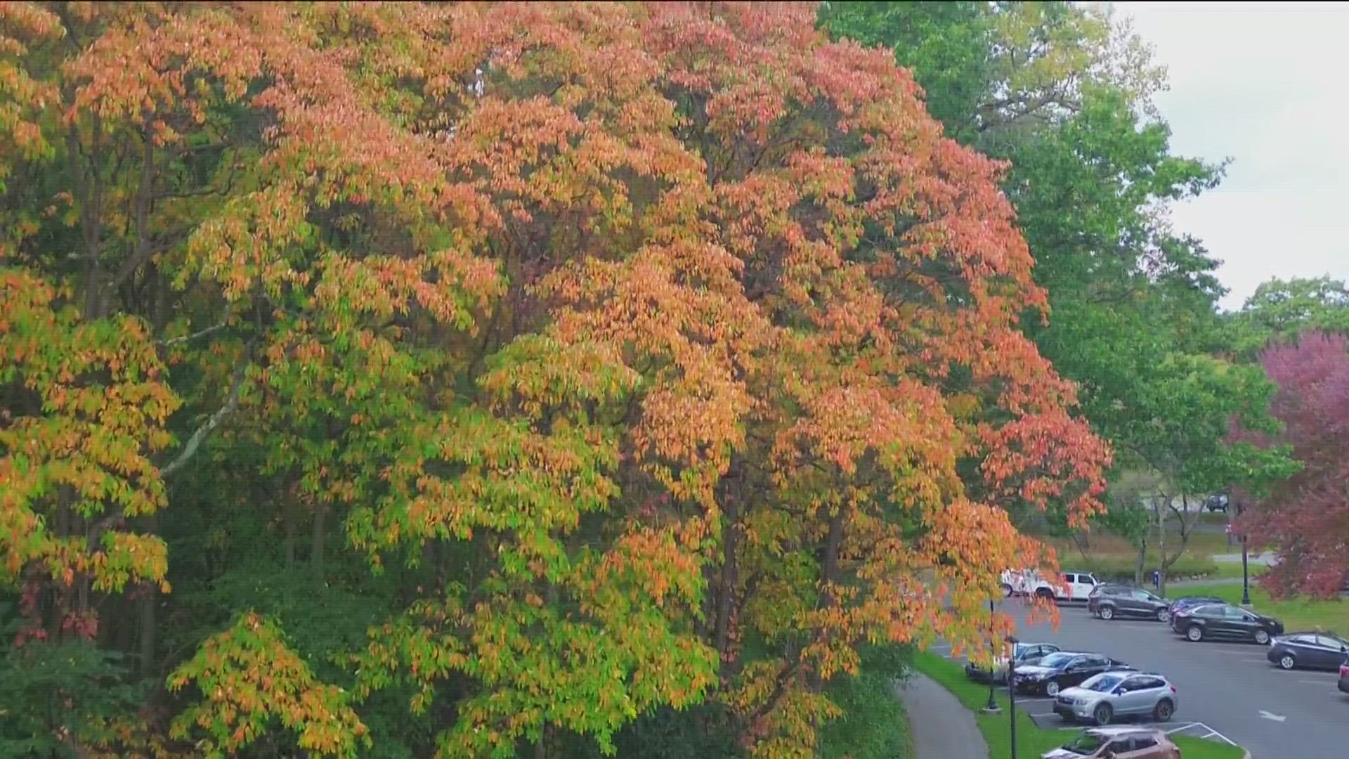 dn sharma recommends colors of autumn porn pic