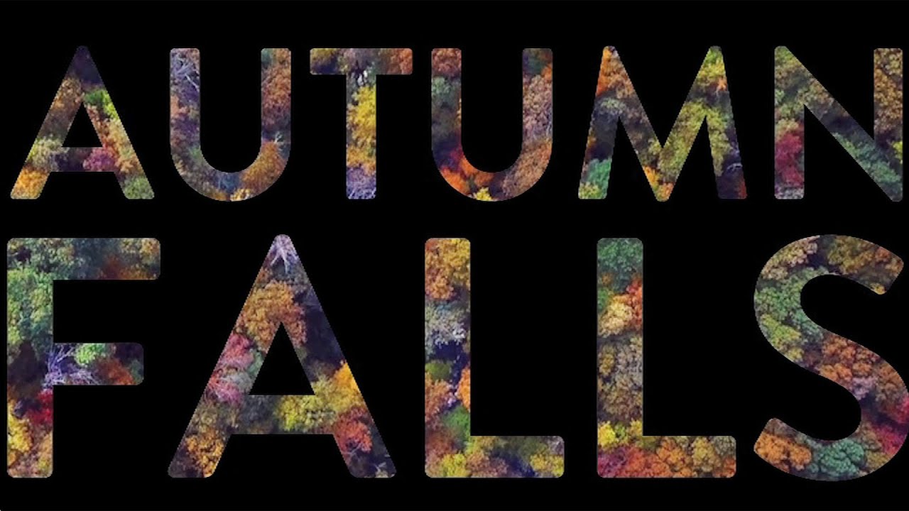 autumn falls full video