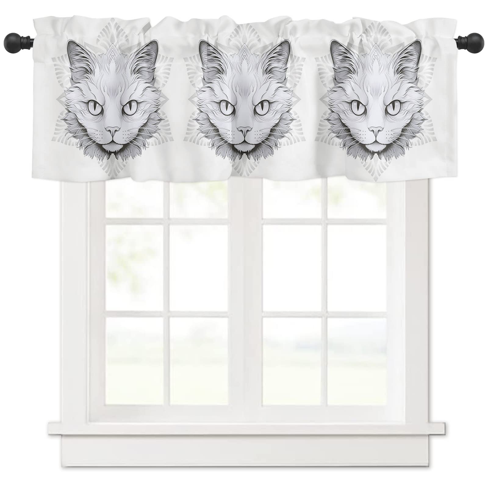 brooke werkhoven add photo kitty valance