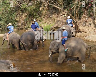 Best of Bareback in thailand