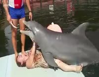 Female Dolphin Porn ggi rwevcgo