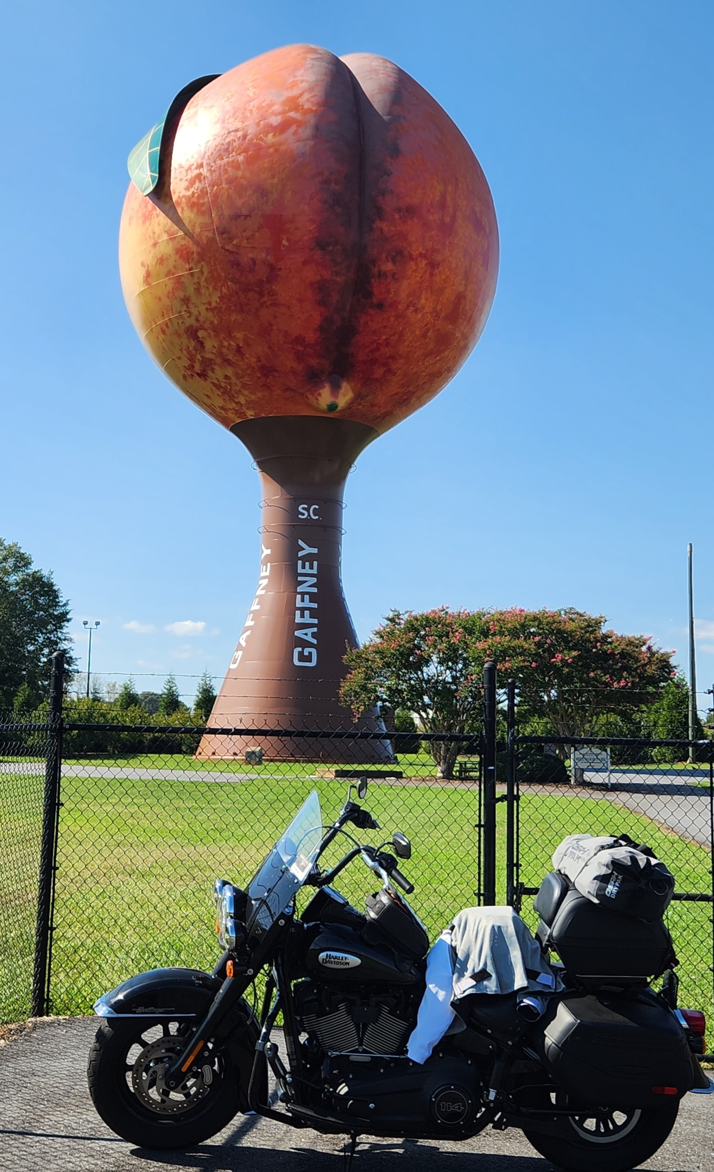 brian yuhnke add georgia peach butt photo