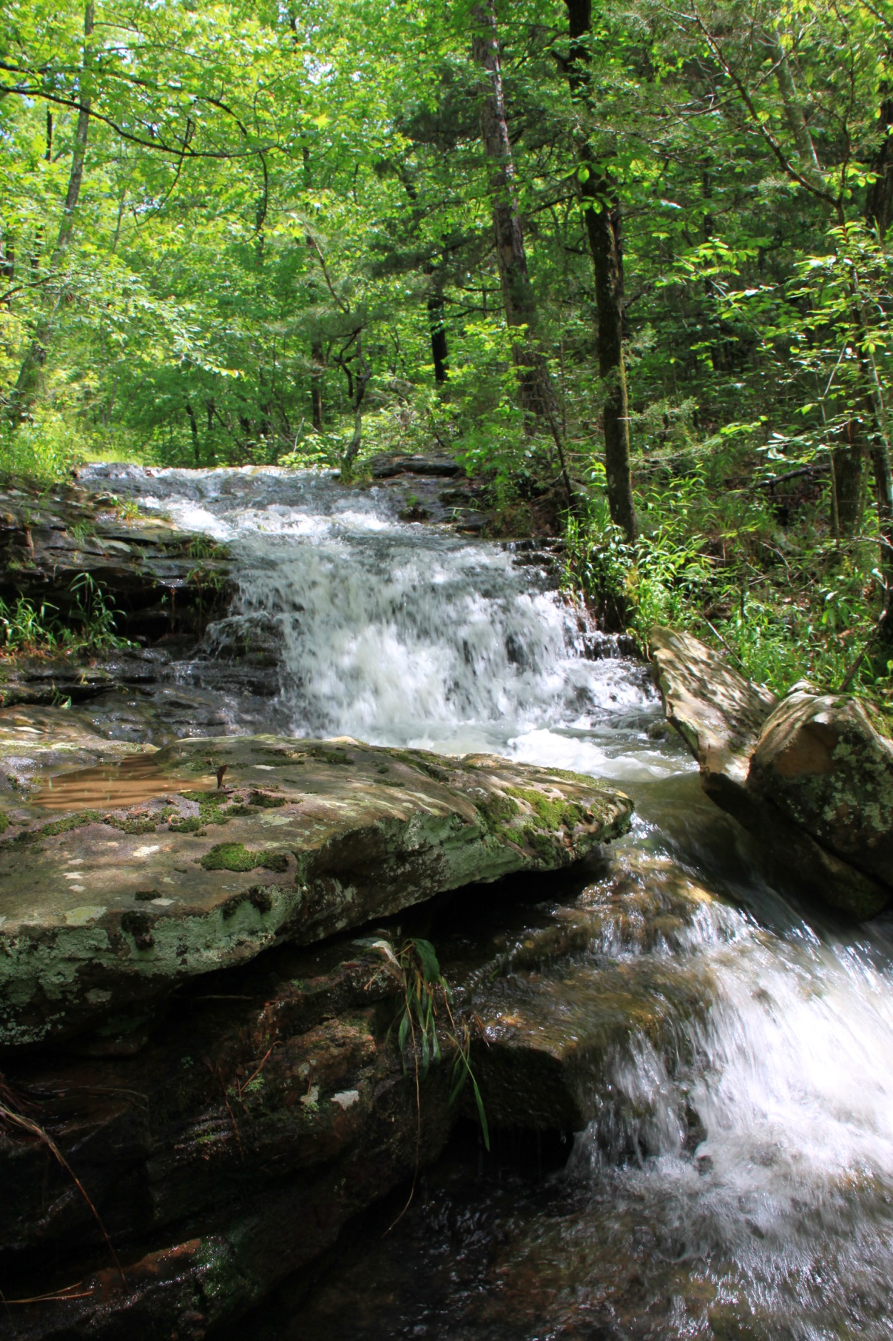 dana piterman recommends glory holes in michigan pic