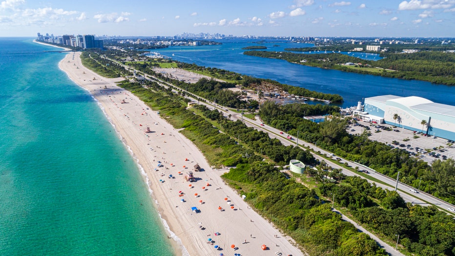 channon collins recommends haulover beach nudes pic