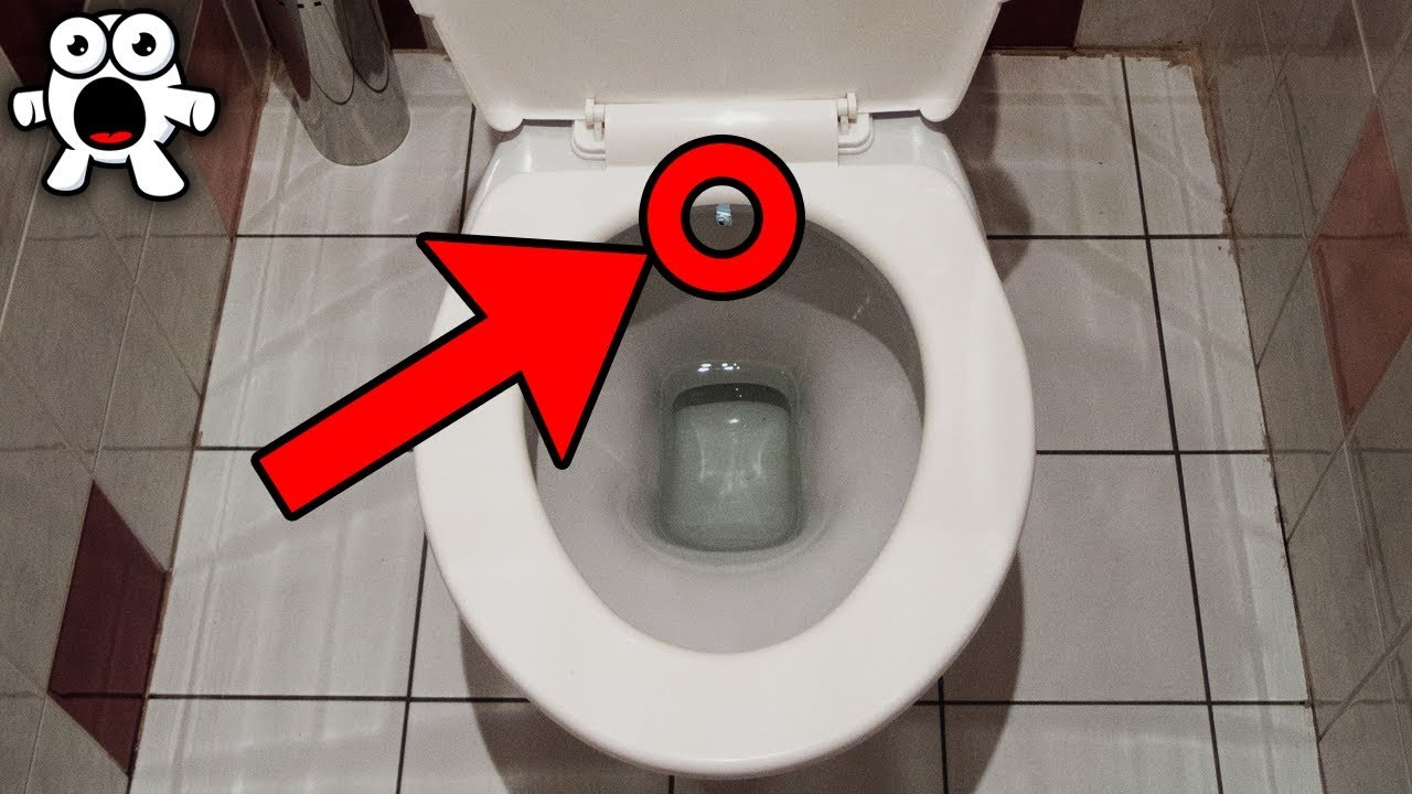 aaron klar recommends hidden cam in toilet bowl pic