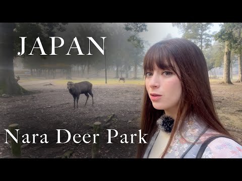 dean campese recommends Japan Subtitled Porn