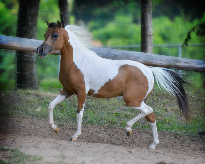 casual nude male