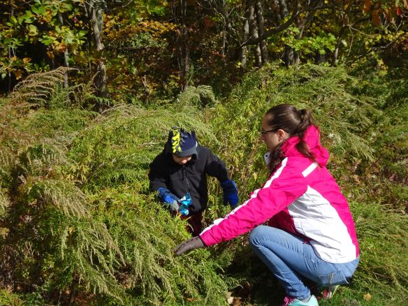 Best of Mom lends a hand