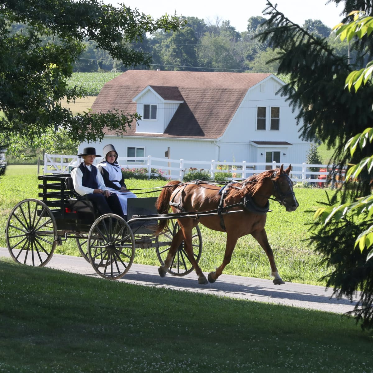 cristina adkins recommends naked amish man pic