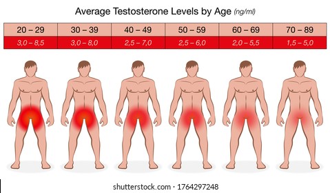 naked average male