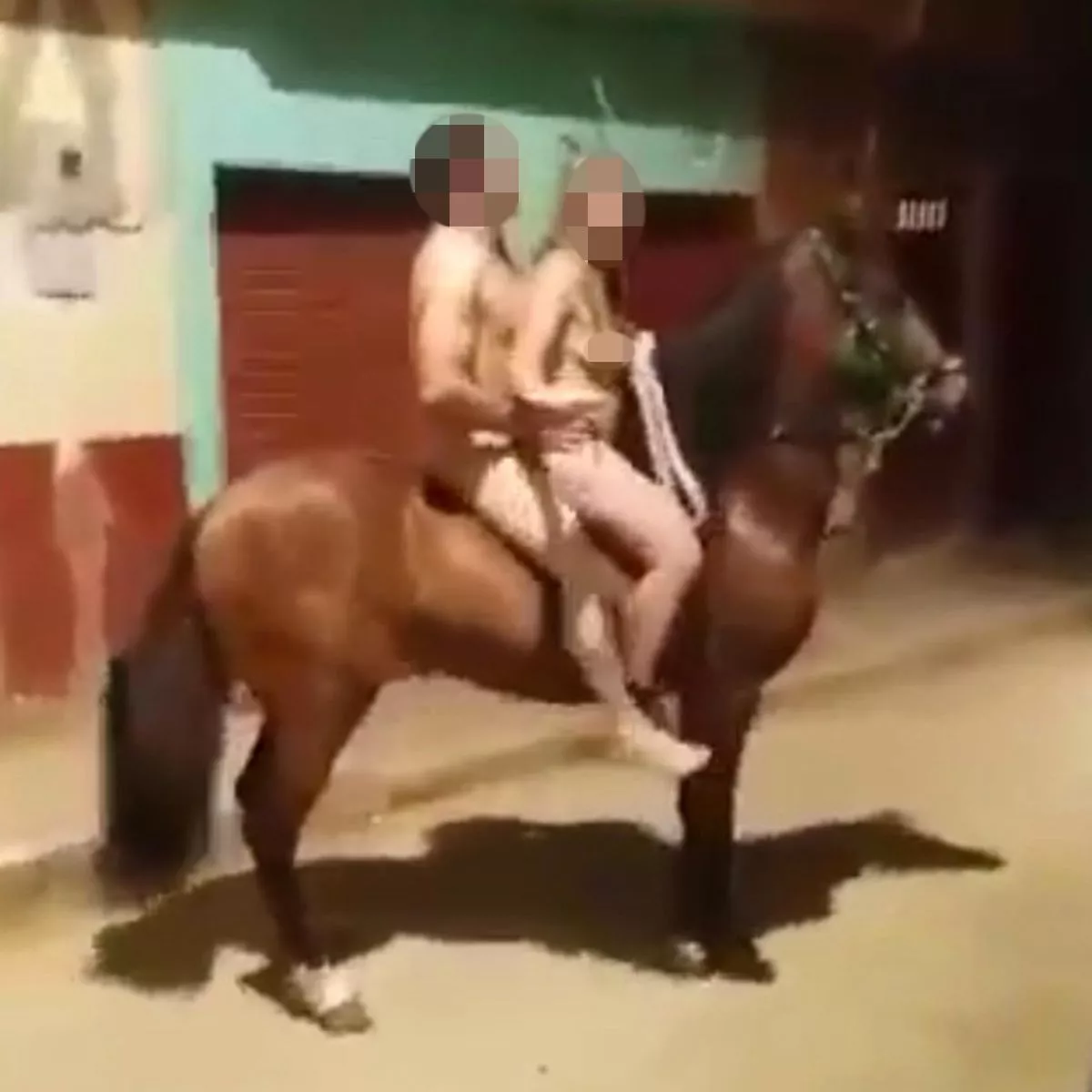 Best of Naked woman on horseback