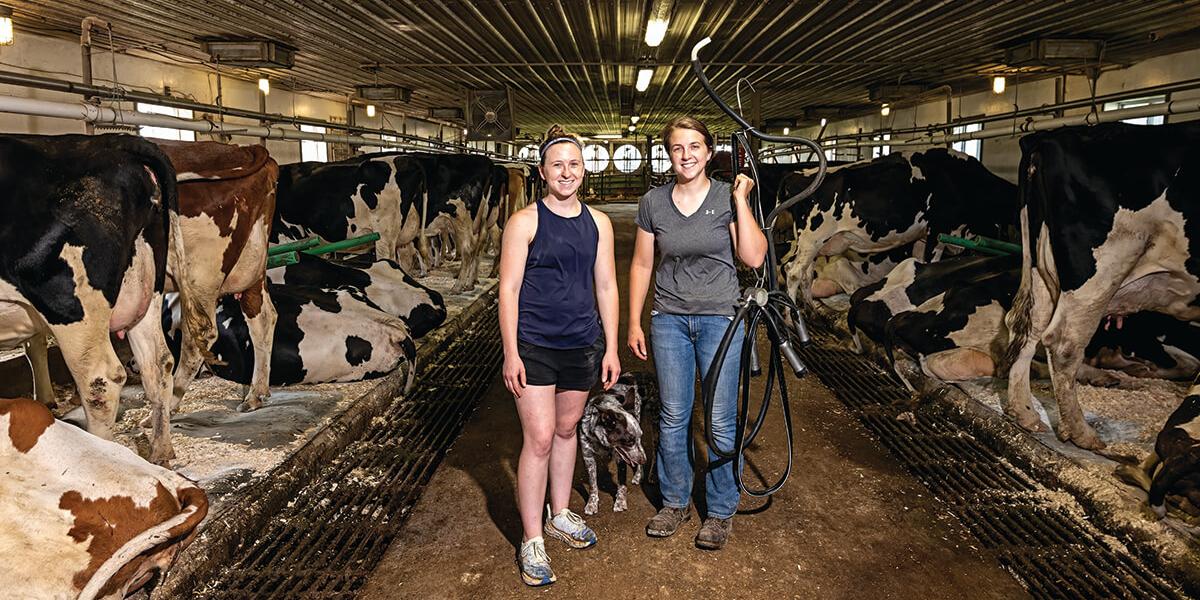 darryl garnett recommends real milking table pic