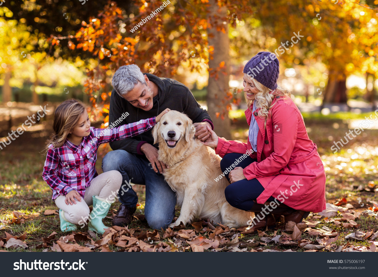 stroking the family