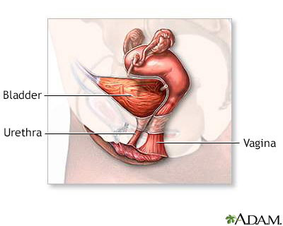 Twitching Clit nocera inferiore