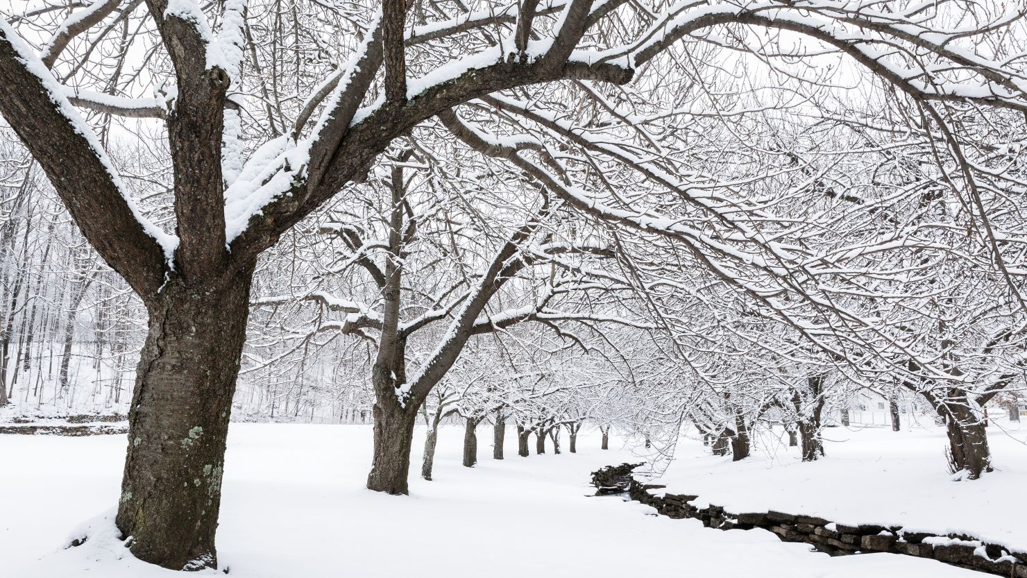 alyson malcolm recommends Winter Bell Porn